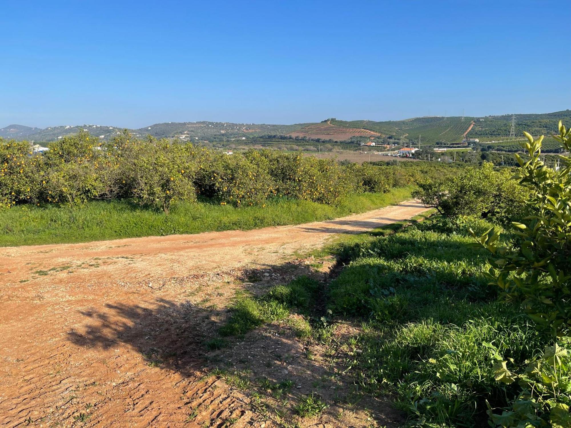 Orange Grove Residence Silves Buitenkant foto