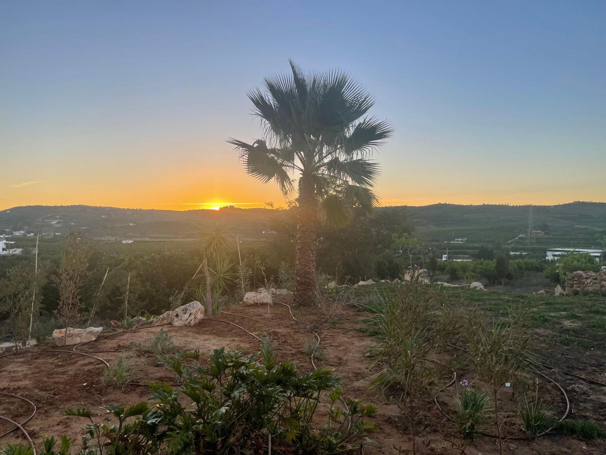 Orange Grove Residence Silves Buitenkant foto