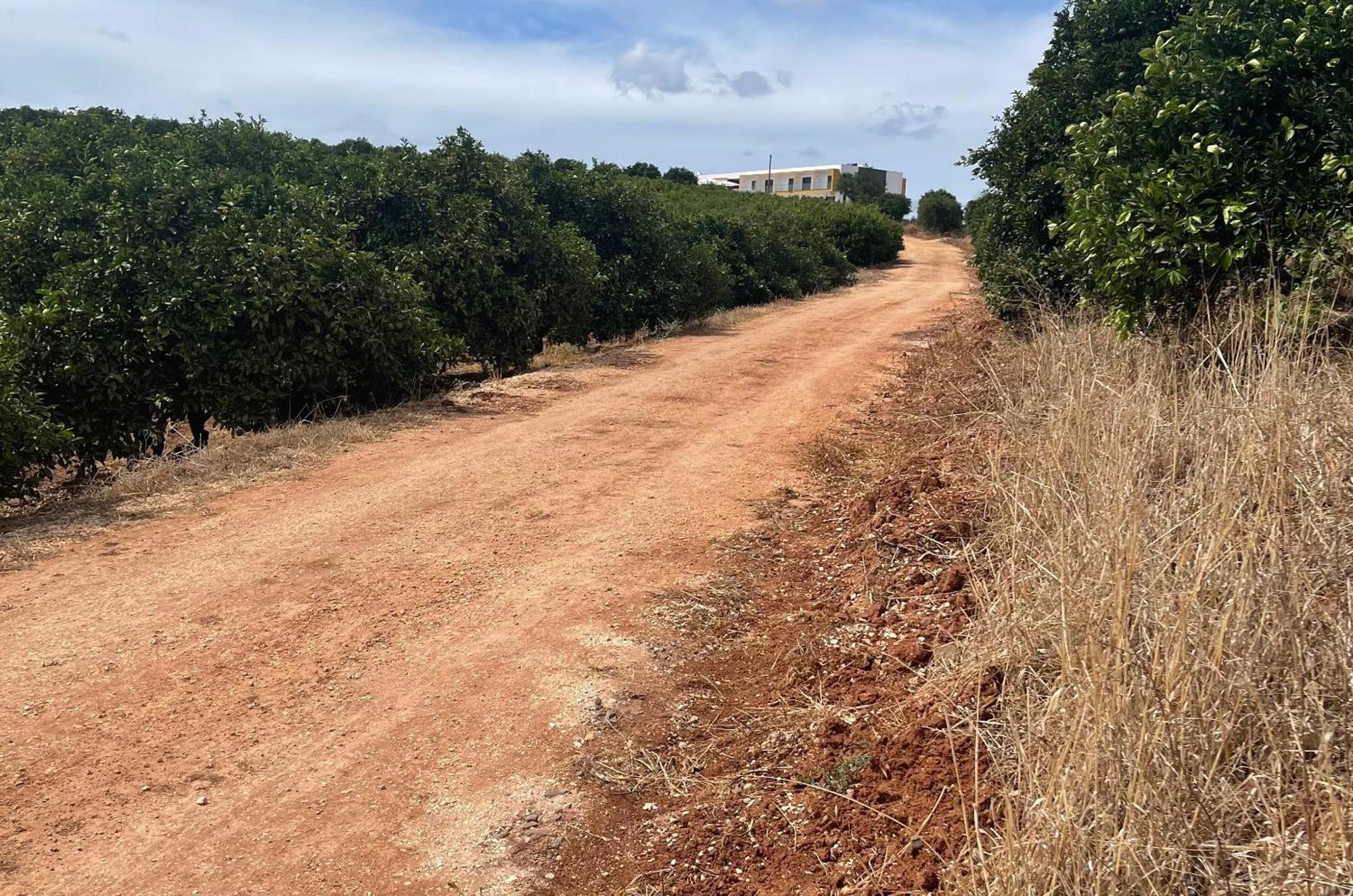Orange Grove Residence Silves Buitenkant foto
